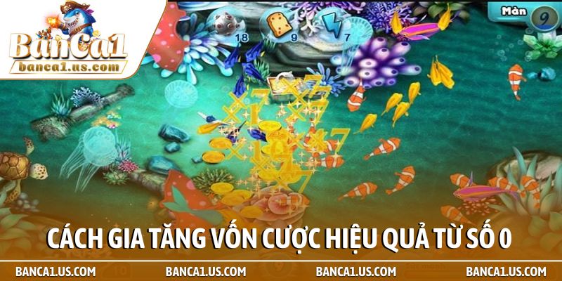 Bí kíp săn thưởng miễn phí - Cách làm giàu không cần vốn 2 Cách gia tăng vốn cược hiệu quả từ số 0