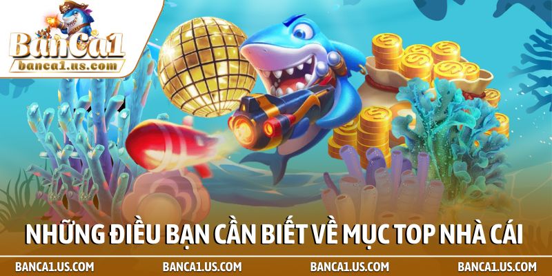 Những điều bạn cần biết về mục Top nhà cái